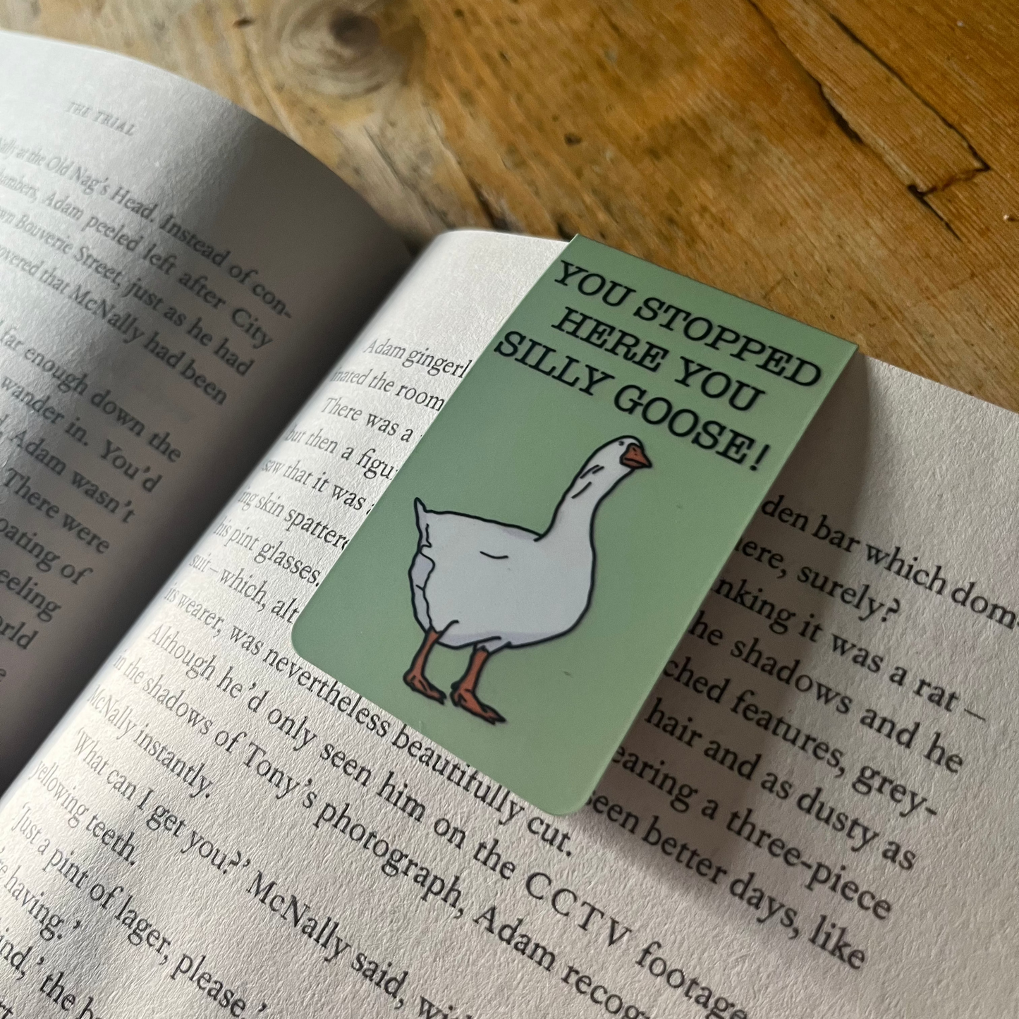 SILLY GOOSE BOOK BOOKMARK